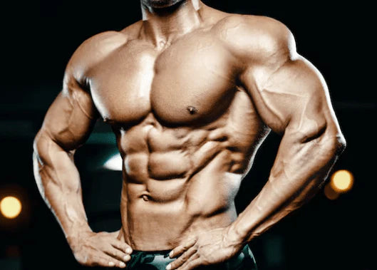 Magnum Quattro – 4-Stage Protein Isolate (Original) ©  ماغنوم كواترو – بروتين أيزوليت رباعي المراحل (أصلي)